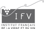 ifv