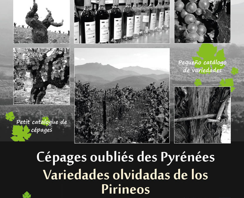 Catalogue des cépages oubliés des Pyrénées